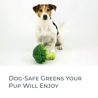 Dog Greens